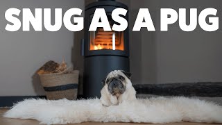 Snug as a Pug in front of the wood burning stove of his dreams  HWAM 3120c wood burning stove [upl. by Lelah]