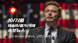 속보107월 미국의 보험사GEICO 테슬라 싸이버트럭 보험 갱신 거부 아마존의 놀라운 검색 능력 트럼프 선거유세에 직접 뛰어든 일론 머스크 [upl. by Messing]