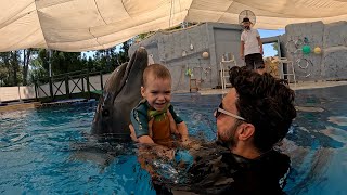 Dolphin Therapy Land  Rodrigo [upl. by Harrad]