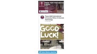 TAMIU Students Blackboard Navigation [upl. by Akemehs549]