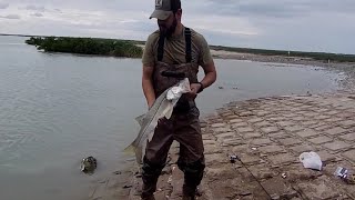 South Texas Snook Feeding Frenzy [upl. by Nnewg]