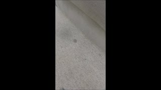 Spotless carpet stain removal [upl. by Allenod]