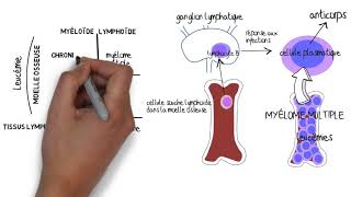 Comprendre le myÃ©lome multiple [upl. by Enaamuj]