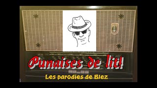 Punaises de lit parodie de la chanson de Philippe Chatel jtaime bien Lilly [upl. by Savihc582]