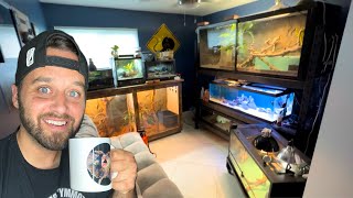 REPTILE ROOM TOUR October 2024 [upl. by Fromma]