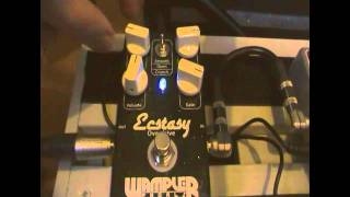 Wampler Ecstasy Overdrive [upl. by Torto510]