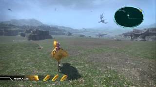 Lets Play Final Fantasy XIII  Part 83 quotChocobo Treasure amp Dig Spotsquot  HD [upl. by Vaules]