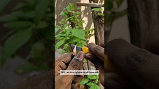 How to Sharpen Drawing pencils  Part 2 Tamil artist shortsfeed [upl. by Ratcliffe]