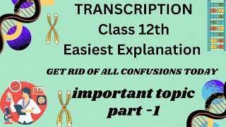 TranscriptionTranscription in prokaryotes Easy Explanation in urdu hindi MaamHinaBiologyofficial [upl. by Tonye427]