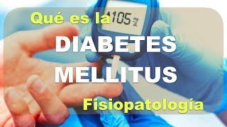 Fisiopatología de la Diabetes Mellitus [upl. by Herwin892]