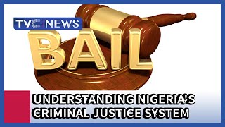 Criminal Justice System  Law Enforcement Pillar [upl. by Bess132]