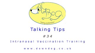 Tips 034  Intranasal Vaccination Training [upl. by Song]