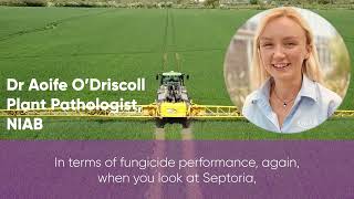 Dr Aoife ODriscoll from NIAB provides her perspectives on Univoq™ fungicide [upl. by Nonez871]