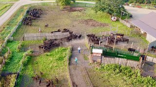 Day In The Life Of A South Dakota Rancher [upl. by Ahsilat126]