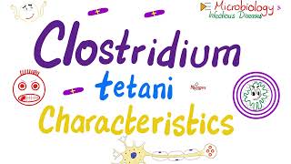 Clostridium Tetani characteristics  Tetanospasmin Paralysis  Microbiology 🧫 amp Infectious Disease [upl. by Loggins]