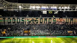 FESTA DA TORCIDA DO PALMEIRAS NA GOLEADA CONTRA O AMÃ‰RICA [upl. by Sutphin]