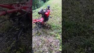 Farming with Tractor farming corporate agriculture Uttarakhandi pahadi agropreneur [upl. by Ahsiekyt449]