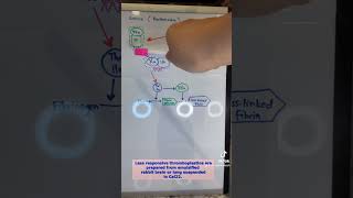 Prothrombin Time Extrinsic Coagulation Pathway medtech medtechstudent foryou coagulation fypシ゚ [upl. by Fausta]