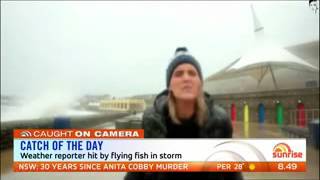 Reporter hit in head by flying fish during weather report sun7 WMV V9 [upl. by Juni]