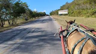 Guardalavaca Holguin Cuba April 20th 2024 [upl. by Esenej]