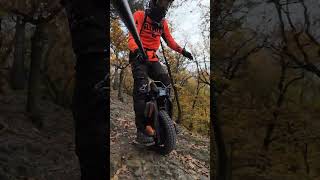 Autumn freeride on Begode Blitz🍂 begodeblitz [upl. by Gromme]