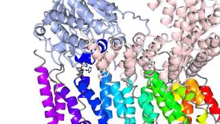 Protein phosphatase 2A [upl. by Sleinad751]