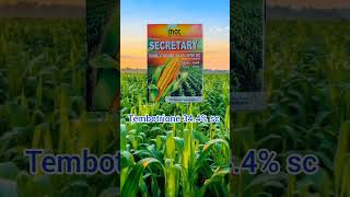 Tembotrione 344 SC  maize herbicide  Atrazine 50  Laudies herbicide in telugu farm maize [upl. by Eatnoid123]