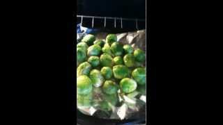 Roasted Brussel Sprouts Recipe [upl. by Ilyak]