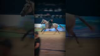 horse love trending horse viralshort youtubeshorts horseridding subscribe [upl. by Bornstein]