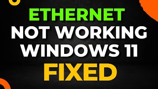 Ethernet Not Working on Windows 11 [upl. by Berardo]