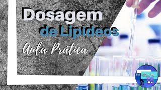 Dosagem de Lipídeos Aula prática [upl. by Belle588]