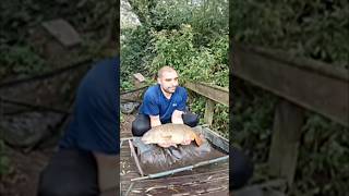 Catching My Biggest Carp Ever fishing shorts [upl. by Ecirtaed]