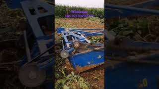 Microtiller stonepicking machine potato harvester made in China [upl. by Divine]