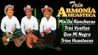 Mix De Rancheras Trio Armonia Huasteca [upl. by Rhiamon414]