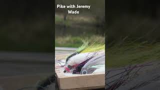 Hunting for pike on the fly with Jeremy Wade [upl. by Solhcin]