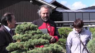 Takamatsu Bonsai Promotion Movie 2014 quotLong Versionquot [upl. by Ogata]