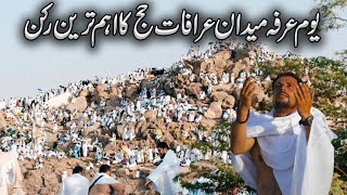 Live Arafat Ka Maidan  Maidan e Arafat  Jabl E Rehmat  Hajj 2024  Eid ul Adha 2024  عرفہ [upl. by Gustie]