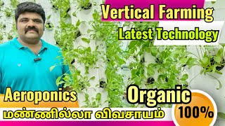 Vertical farming  Aeroponics மண்ணில்லா விவசாயம்  verticalfarming aeroponics [upl. by Lednek]