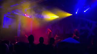 Organectomy  Live in Minneapolis  2024  Concert Clip 2 of 3 [upl. by Hahseram]