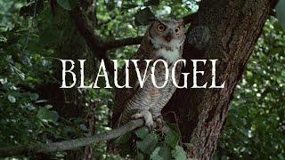 Alle 12 Gojko Mitic Filme  Blauvogel  Atkins  Jetzt auf Bluray und DVD  DEFA Filmjuwelen [upl. by Aire666]