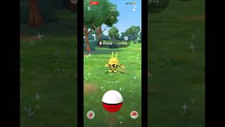 Getting shiny event elekid during com daypokemongoshorts [upl. by Remled]