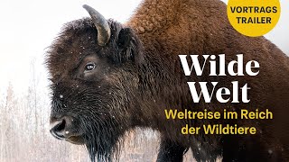 WILDE WELT Weltreise im Reich der Wildtiere  LiveReportage Trailer [upl. by Dasya166]