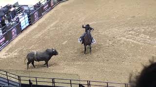 Bull riding  PBR  Grand Rapids Michigan [upl. by Emilie]