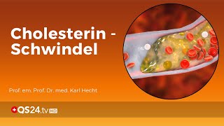 Der CholesterinSchwindel  Prof em Prof Dr med Karl Hecht  Back to school  QS24 [upl. by Lyndsie]