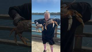 Pier Crabbing  WINCHESTER BAY Oregon  2 MASSIVE MALE DUNGENESS CRAB  Keepers crabbing outdoors [upl. by Arrakat]