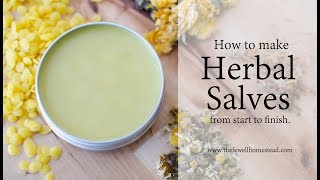 How to Make an Herbal Salve [upl. by Almeria]