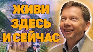 Экхарт Толле «Живи здесь и сейчас» Новая Аудиокнига Экхарта Толле и Никошо [upl. by Bohon]