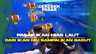 Pasar Ikan Sumenep Jakarta Jual Ikan Hiu [upl. by Nidnerb945]