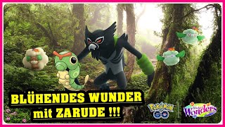 BLÜHENDES WUNDER mit ZARUDE   Pokémon GO Deutsch  2913 [upl. by Ettevi]