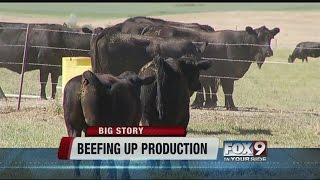 Simplot announces multimillion dollar beef packing plant in Kuna [upl. by Eillor571]